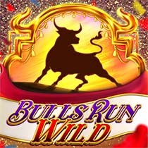 BullsRunWild